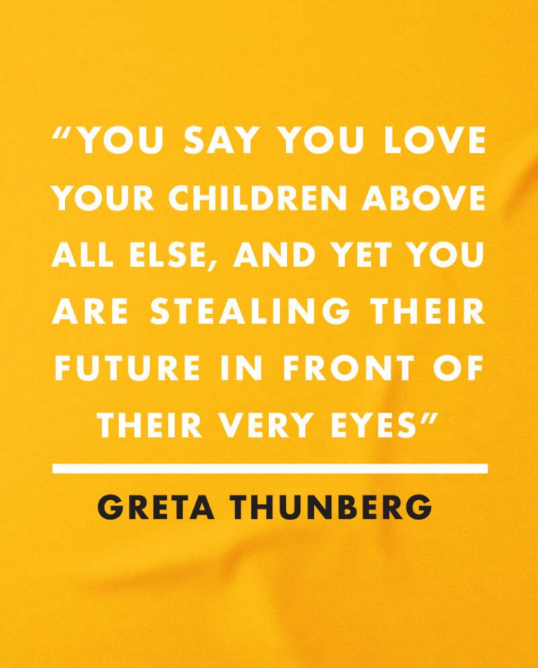 greta thunberg tee shirts