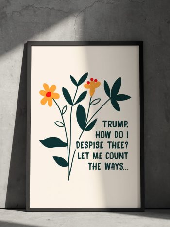 funny anti trump literary quote poster