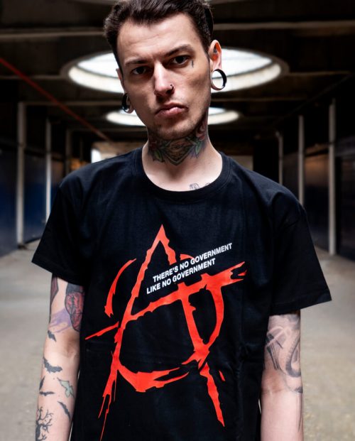 There's No Government Like No Government T-shirt