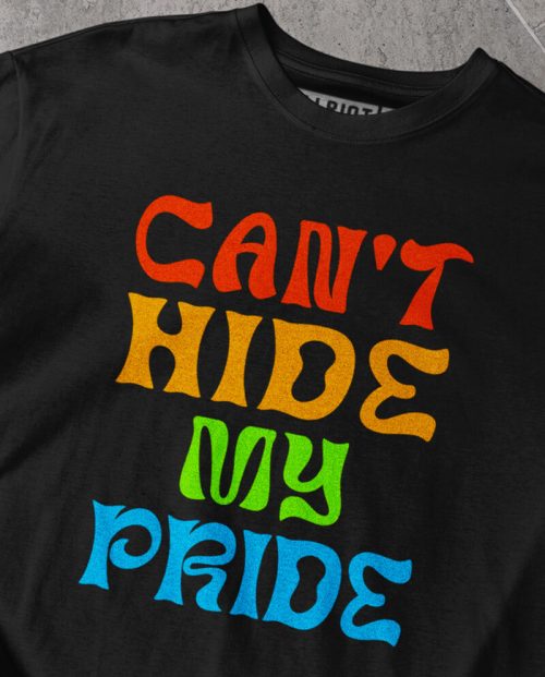 Can't Hide My Pride T-shirt