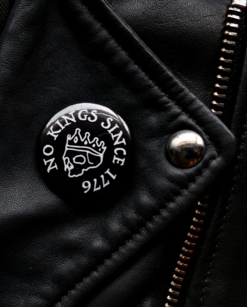 Anti-ICE Pin Buttons