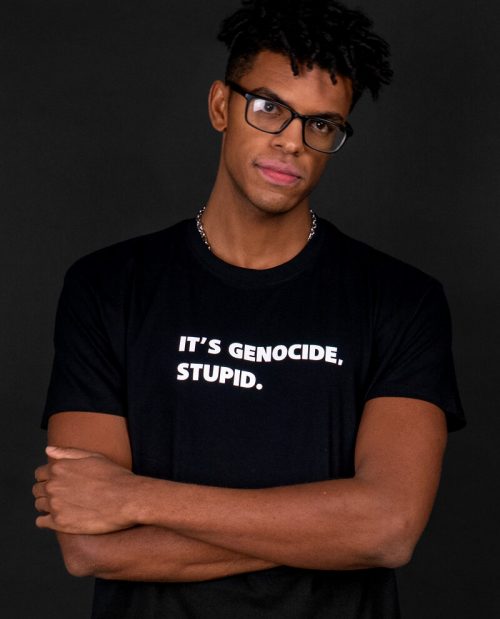 It’s Genocide, Stupid - Free Gaza T-shirt