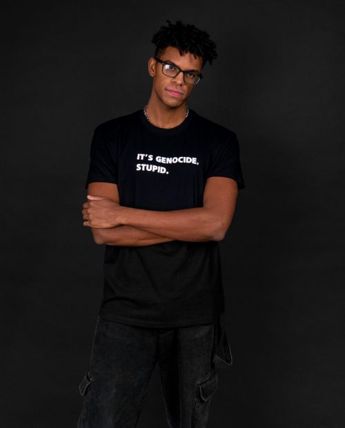 It’s Genocide, Stupid - Free Gaza T-shirt