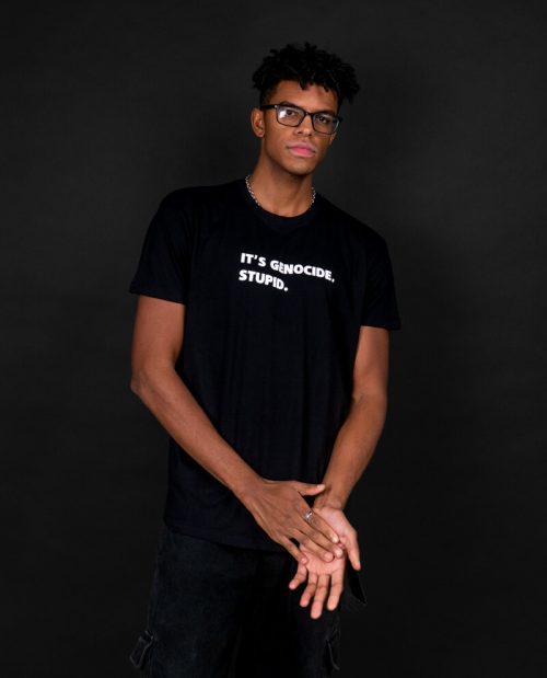 It’s Genocide, Stupid - Free Gaza T-shirt